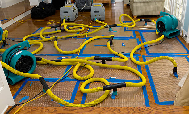 Professional Crawl Space Water Removal technician working in Mendota, IL
